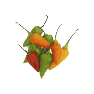 Aji topito