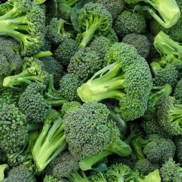 Brócoli
