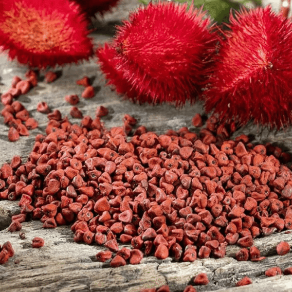 Achiote