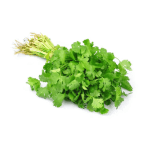 Cilantro