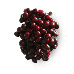Corozo
