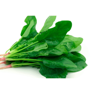 Espinaca