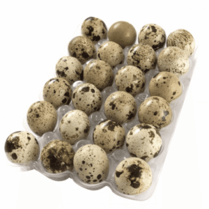 Huevos de Codorniz