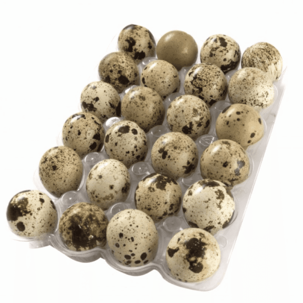 Huevos de Codorniz