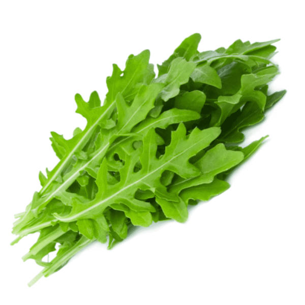 Rúgula