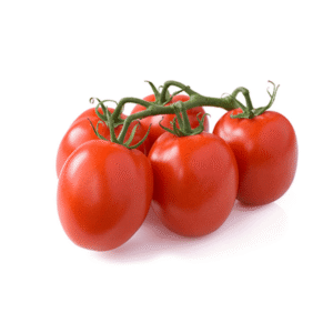Tomate Chonto