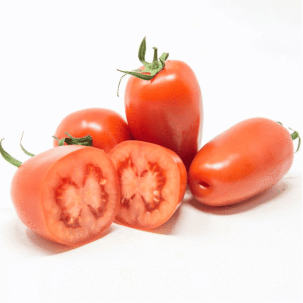 Tomate San Marzano